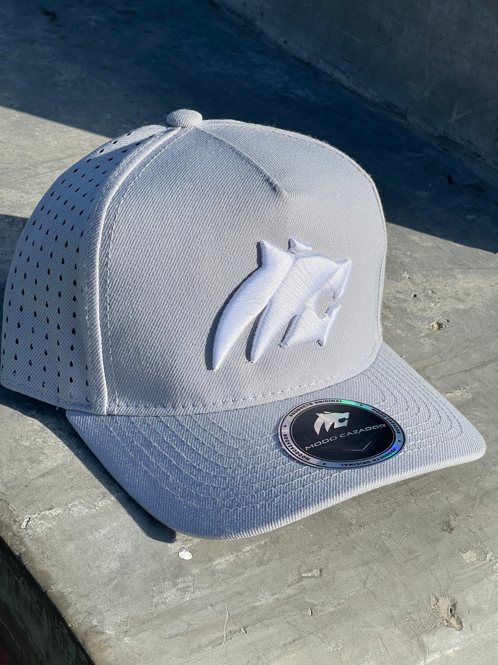 GORRA V2 gris