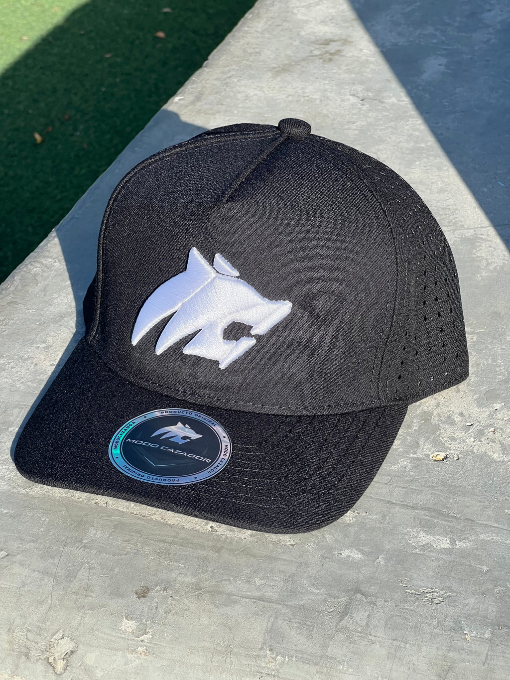 GORRA V2 negra