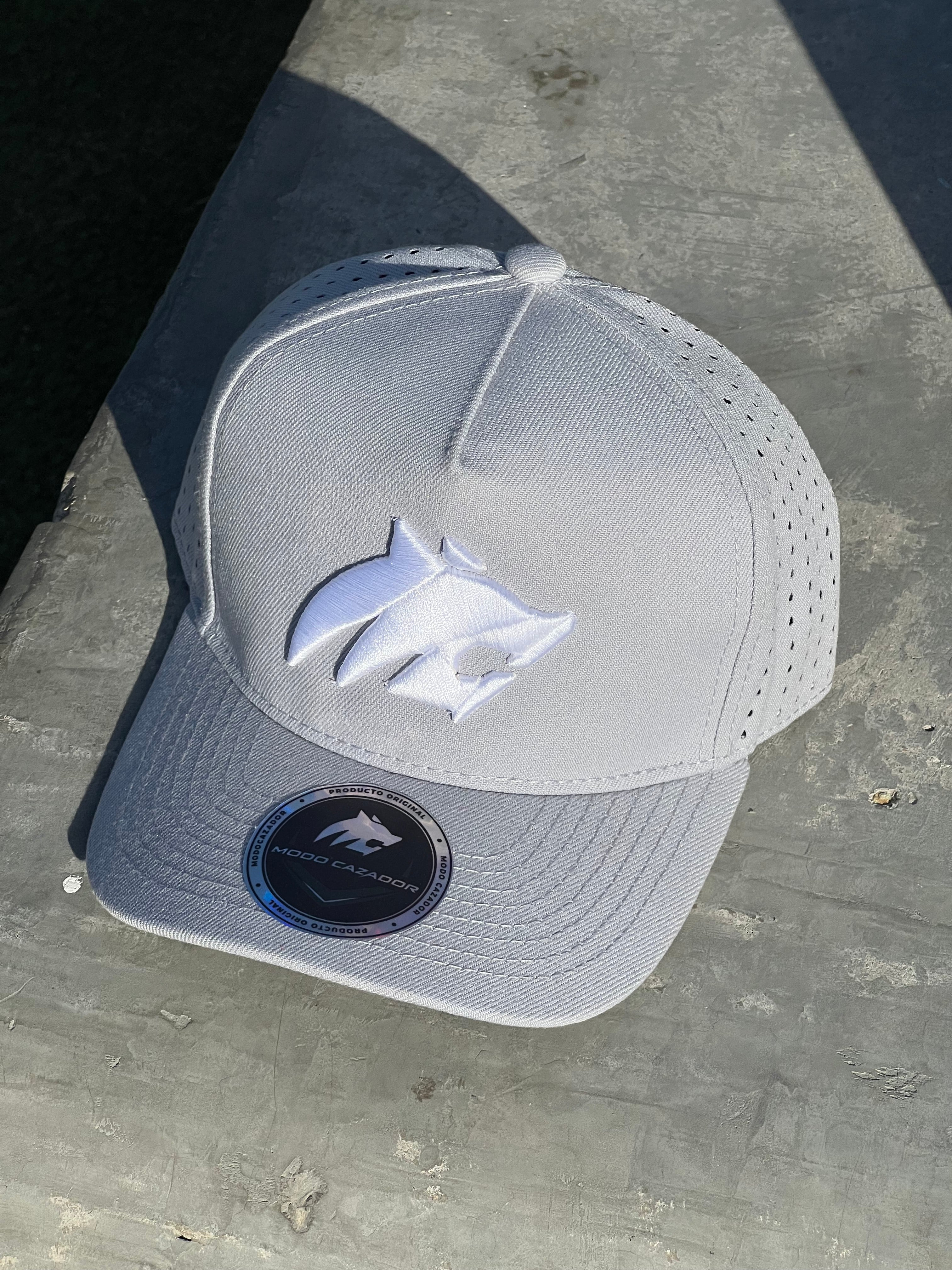 GORRA V2 gris