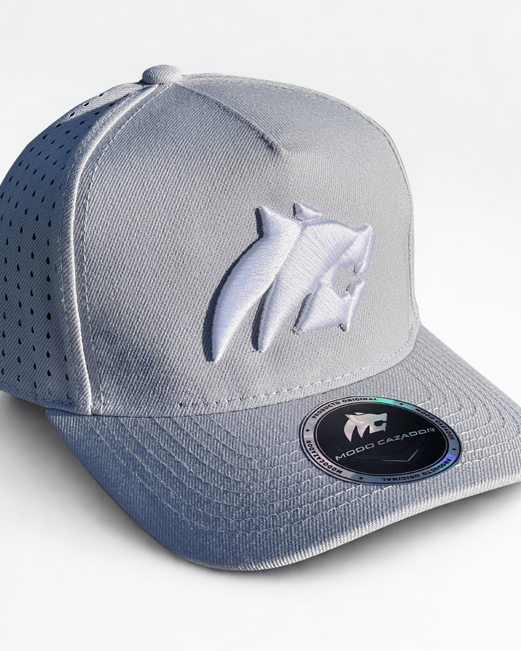 GORRA V2 gris