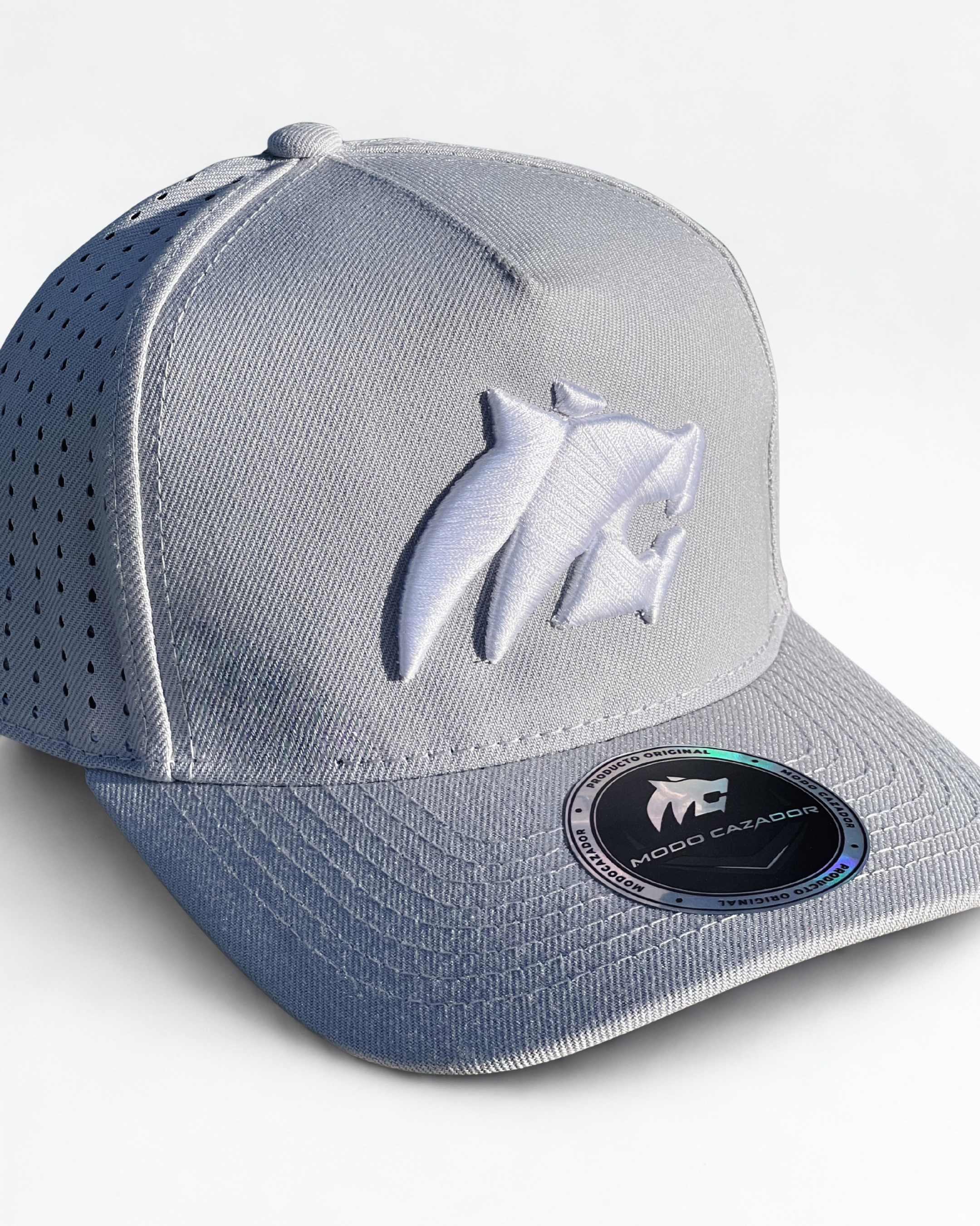 GORRA V2 gris