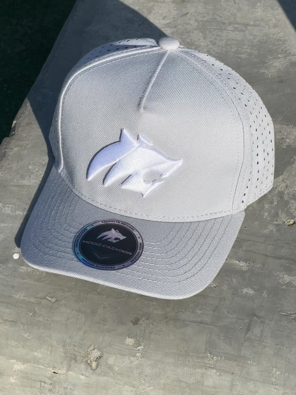 GORRA V2 gris